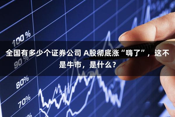 全国有多少个证券公司 A股彻底涨“嗨了”，这不是牛市，是什么？