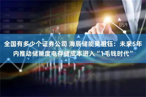 全国有多少个证券公司 海辰储能吴祖钰：未来5年内推动储能度电存储成本进入“1毛钱时代”