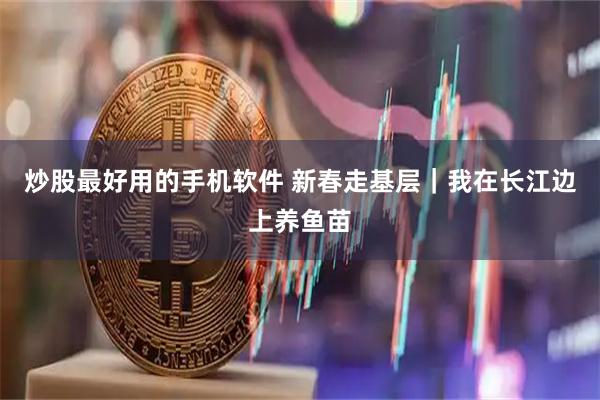炒股最好用的手机软件 新春走基层｜我在长江边上养鱼苗